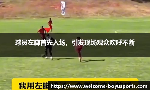 博鱼boyu体育公司